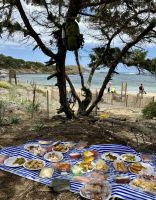 Mittagspause - Picknick deluxe