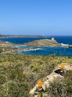 Naturpark S’Albufera