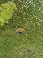 Augen auf beim Wandern