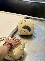 Hier darf man auch selbst Käse herstellen