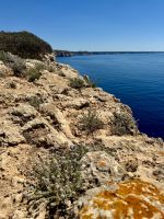 Wunderschöne, unberührte Küstenlandschaft