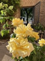 Spanien, Almagro, Garten im Parador-Hotel