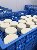 Spanien, Casar de Cáceres, Käserei