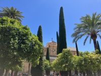 Spanien, Córdoba, im Orangenhof der Kathedrale