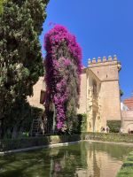 Spanien, Sevilla, Garten im Königspalast