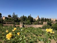 Spanien, Granada, Alhambra