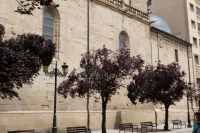 ohne Worte in Logrono