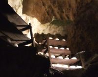 hier reift der bekannte Schimmelkäste 