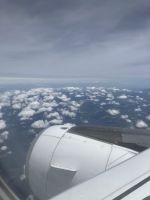 Auf dem Weg nach Hause