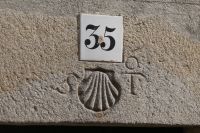 überall die Jacobsmuschel