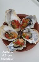 Austern 
