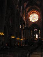 die von der Sonne angestrahlten Rosetten