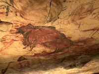 Spanien,  Altamira Höhlenmalereien