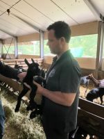 Spanien, Cabrales, Käserei El Cabriteru