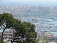 Blick auf Palma vom Schloß Bellver