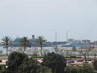 die Costa Magica im Hafen von Palma