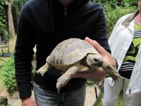 Bewohner von Els Calderes