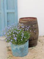 Blütendekoration in Campos