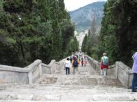 365 Stufen in Richtung Polenca