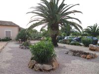 herrliche Pflanzen auf der Finca