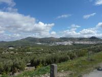 Via Verde de la Subbetica