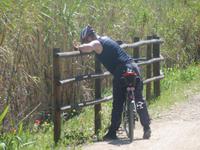 Via Verde de la Campina