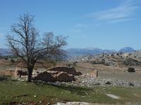 Bergtour Ronda-El Burgo