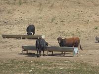 entlang der Via Verde de la Sierra