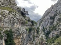 Spanien, Picos de Europa, Ruta del Cares