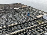 Spanien, Galicien, Muschelzuchtbänke