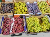 Markthalle/Altstadt von Mahon/Menorca/Balearen