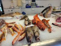 Fischmarkt/Altstadt von Mahon/Menorca/Balearen