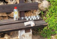 Pomada Kostprobe in Binibeca/Menorca/Balearen