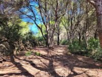 Camí de Cavalls/S'Albufera des Grau/Cap de Favaritx nach Es Grau/Menorca/Balearen