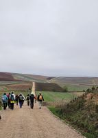 Wanderung auf dem Jakobsweg von Ciruena nach Santo Domingo de la Calzada