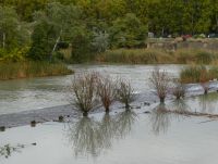 die Wasser des Tajo am Palast von Aranjuez