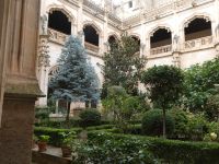im Kloster San Juan de los Reyes mit Klostergarten