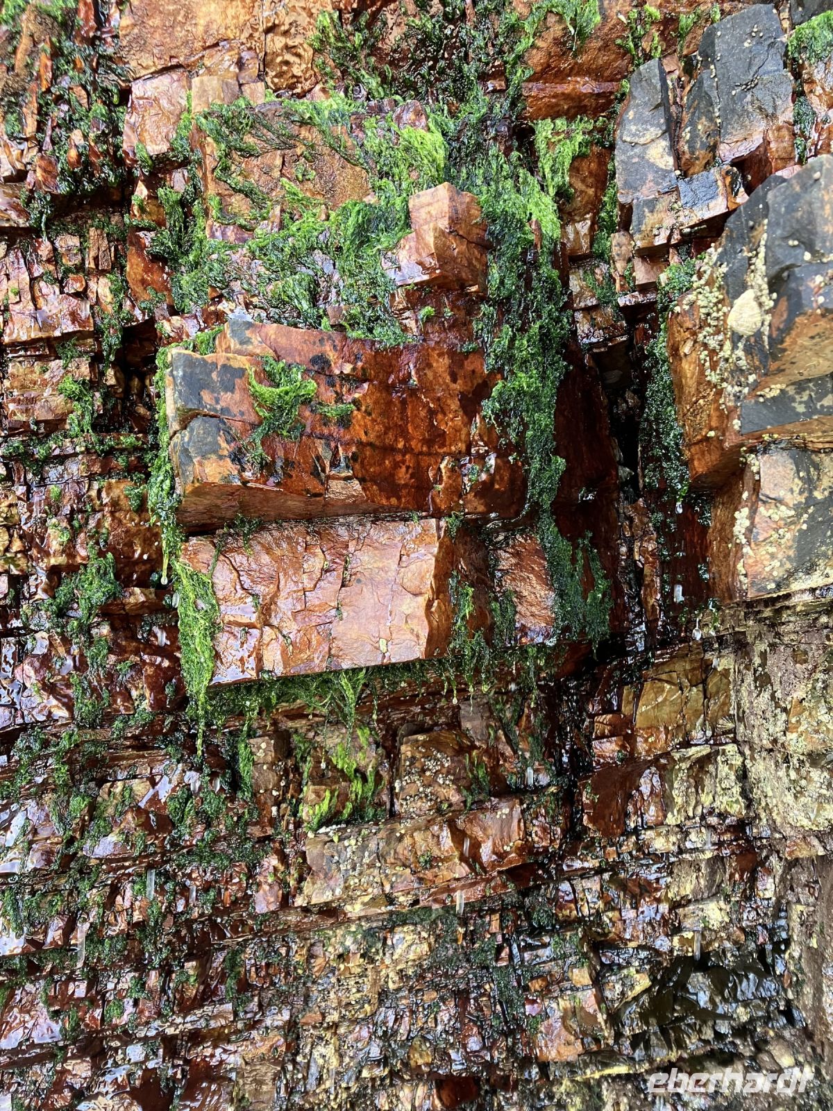 Nordspanien-Reise, Kathedralenstrand