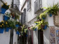 blühende Blumen und Grün in den Innenhöfen