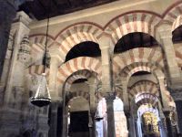 Blick in den Säulenwald der 