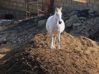 auf dem Hügel ist die Aussicht besser