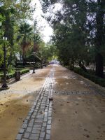 Ronda - Alameda del Tajo