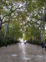 Ronda - Alameda del Tajo