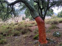 gerade regnet es mal nicht auf unserer Wanderung