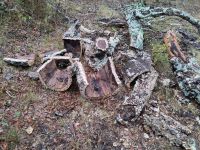 liegen gelassener Kork 