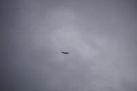 Wir starten unsere Wanderung in den Desfiladero de los Gaitanes - warum kreist jetzt schon ein Geier über uns?! 