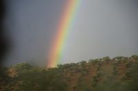 Andalusischer Regenbogen