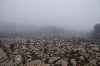 Nur wenige Meter Sichtweite