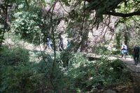 Aufstieg von Pampaneira nach Bubión