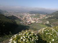 Die letzte Wanderung auf Teneriffa führte uns durch das Anaga Gebirge und den Mercedes Wald.